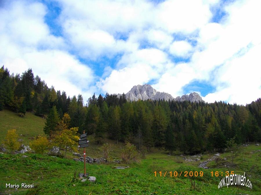 08 Dalla Malga Voia vista sul Pizzo Camino.JPG